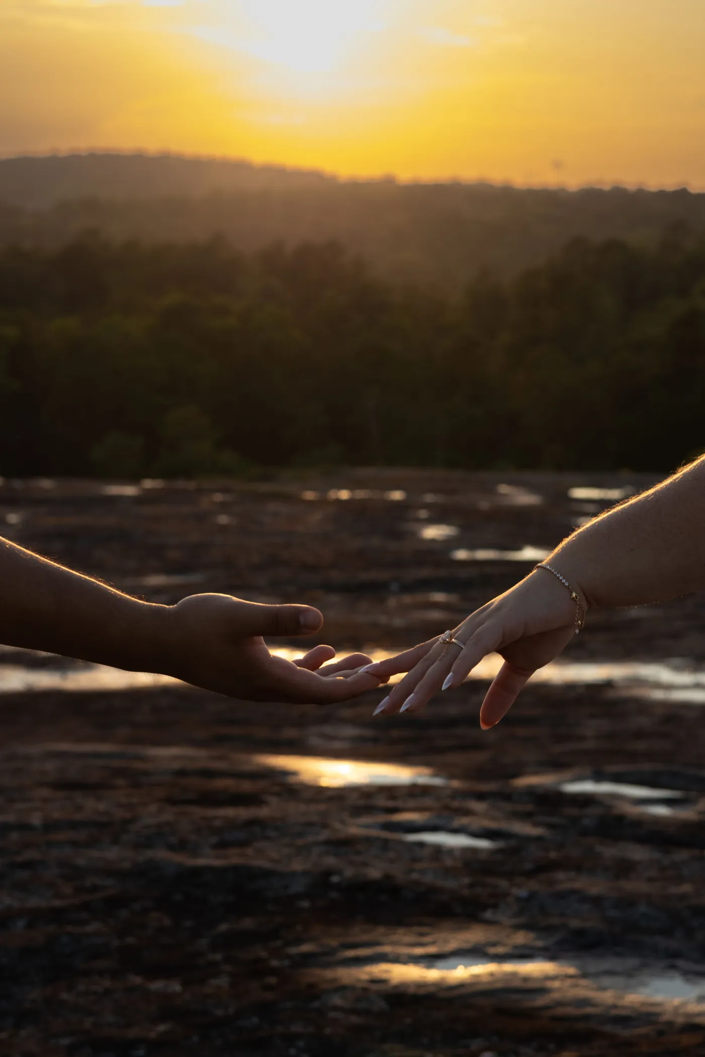 Two hands reaching for each other over wet granite at sunset, a tree line and low sun behind